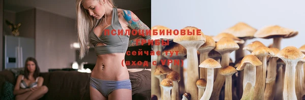 COCAINE Бородино