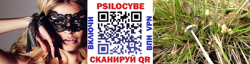Псилоцибиновые грибы мухоморы  Купить  Невель 